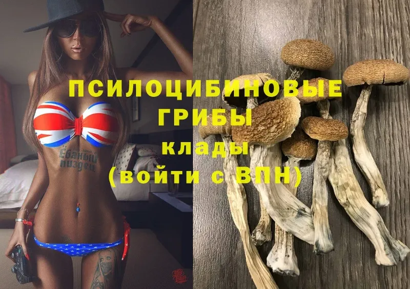 Псилоцибиновые грибы Magic Shrooms  Минусинск 